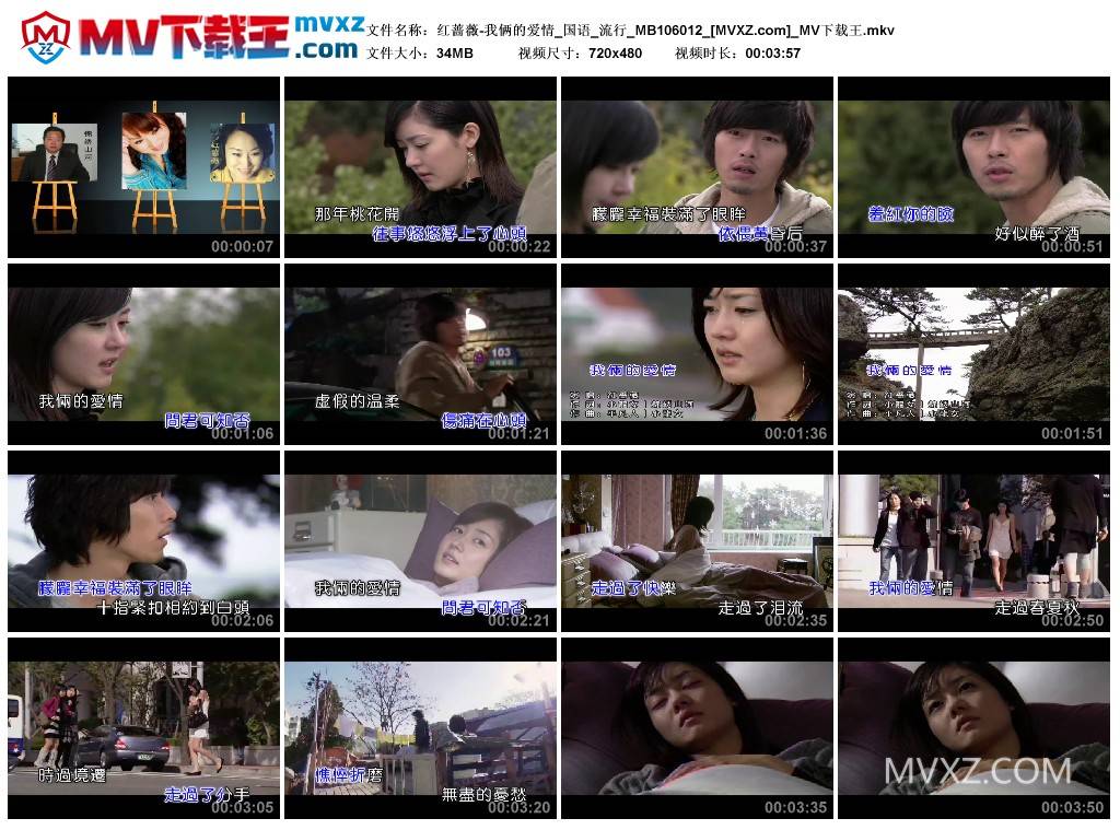 红蔷薇-我俩的爱情_国语_流行_MB106012